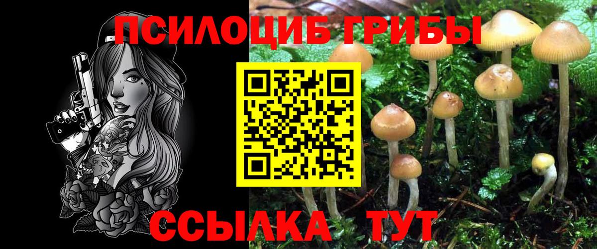Галлюциногенные грибы Psilocybe  Вход с VPN  Городец 