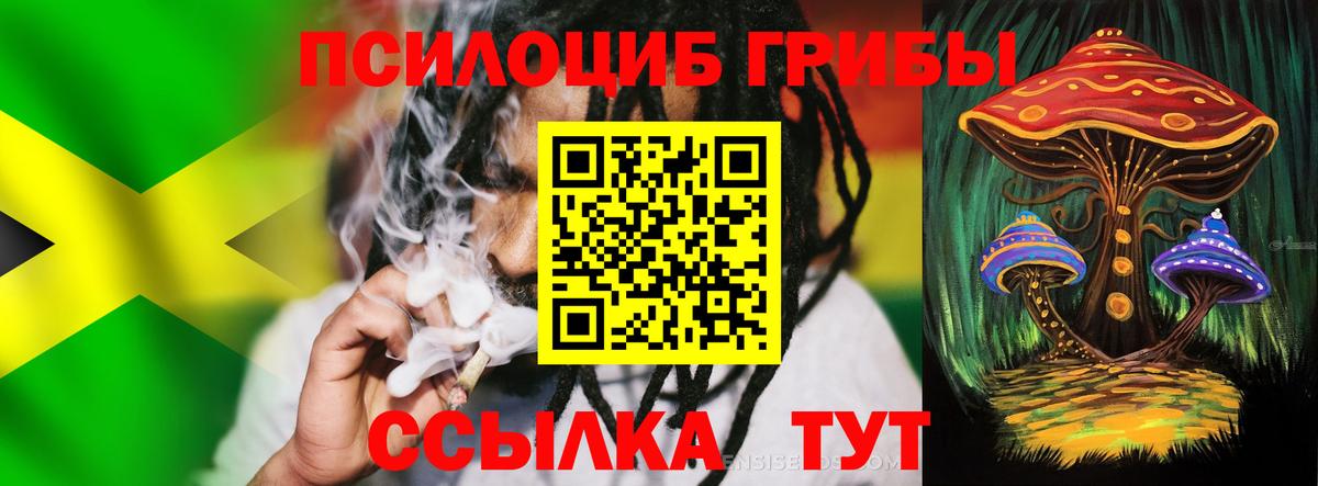 Псилоцибиновые грибы Cubensis Городец